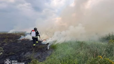 У Слов’янську пожежа сухостою ледь не дісталася житлових будинків