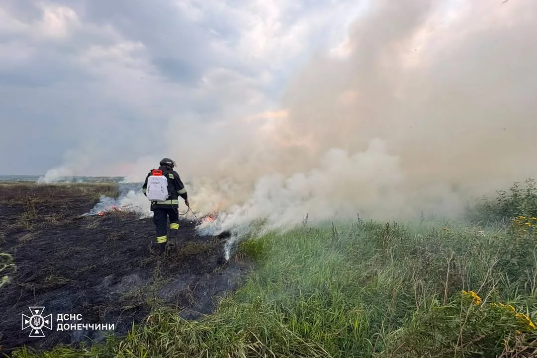 У Слов’янську пожежа сухостою ледь не дісталася житлових будинків