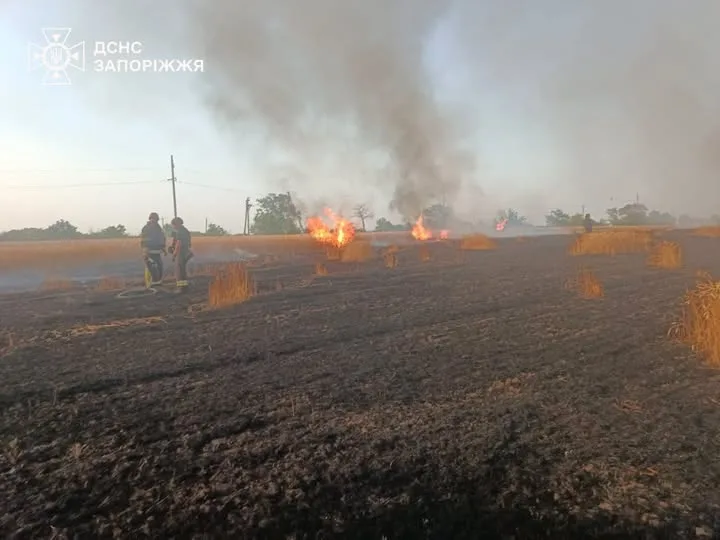 В Україні за добу зафіксували 212 пожеж в екосистемах, частина з них через атаки РФ