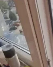 У Польщі жорстоко побили молоду українську пару через акцент