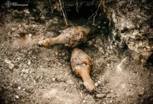 На Тернопільщині біля Монилівки виявили 17 боєприпасів часів Другої світової