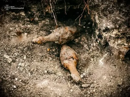 На Тернопільщині біля Монилівки виявили 17 боєприпасів часів Другої світової