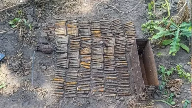 На Львівщині сапери знищили гранату Ф-1, 260 набоїв та артснаряди часів Другої світової