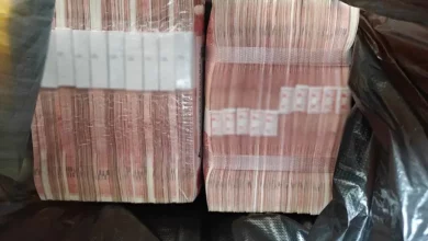 У Китаї викрили шахрайську «інвестиційну групу» з понад 400 фейкових учасників
