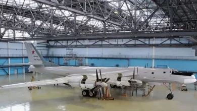 У Росії в строю лише частина стратегічних бомбардувальників Ту-160 і Ту-95МС