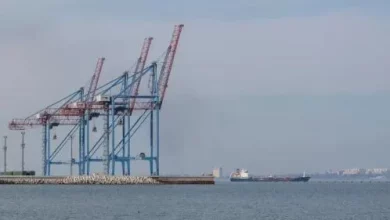 Російські експортери зерна заявили про ризик зупинки експорту через удари в Чорному морі