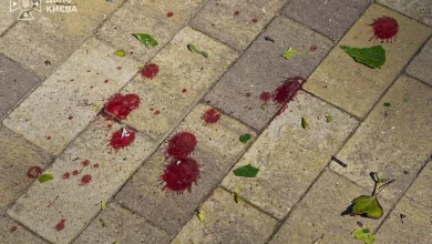 У Києві 2-річна дитина загинула внаслідок російської атаки 29 серпня