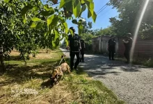 Службові собаки ДСНС залучені до робіт після російського удару на Київщині