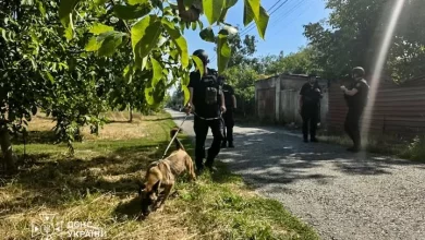 Службові собаки ДСНС залучені до робіт після російського удару на Київщині