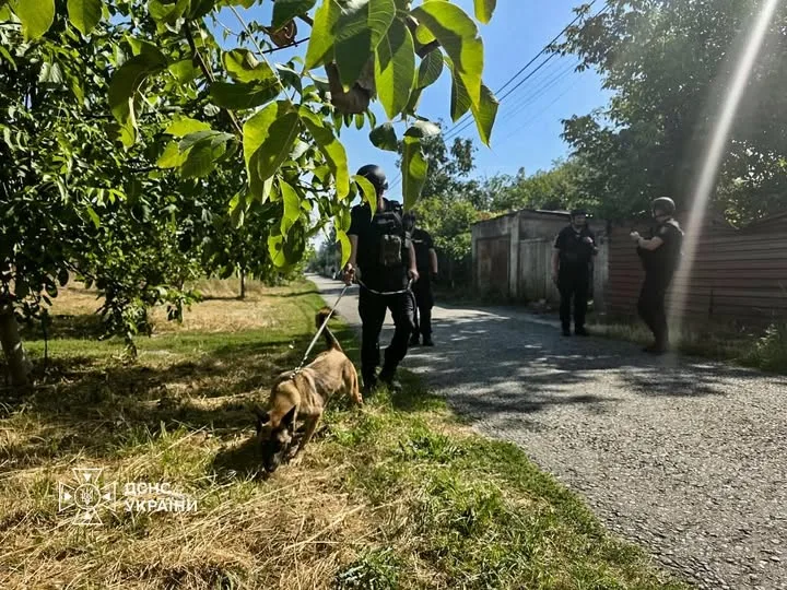 Службові собаки ДСНС залучені до робіт після російського удару на Київщині