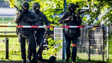 На технофестивалі у Швейцарії відкрили вогонь, загинула 22-річна італійка