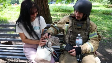 У Харкові рятувальники дістали кота з понівеченої російським ударом багатоповерхівки