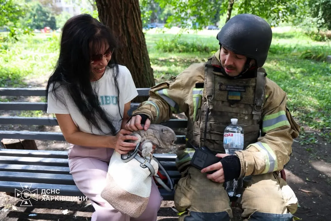 У Харкові рятувальники дістали кота з понівеченої російським ударом багатоповерхівки