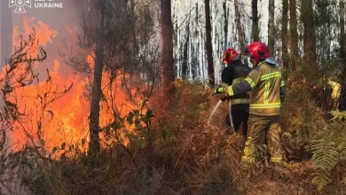 Українські рятувальники у Франції ліквідували лісову пожежу біля населеного пункту