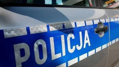 22-річний громадянин України з'їхав з дороги та врізався в дерево в Польщі