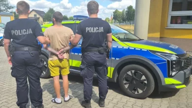 У Польщі 29-річного громадянина України можуть видворити з країни за серію правопорушень