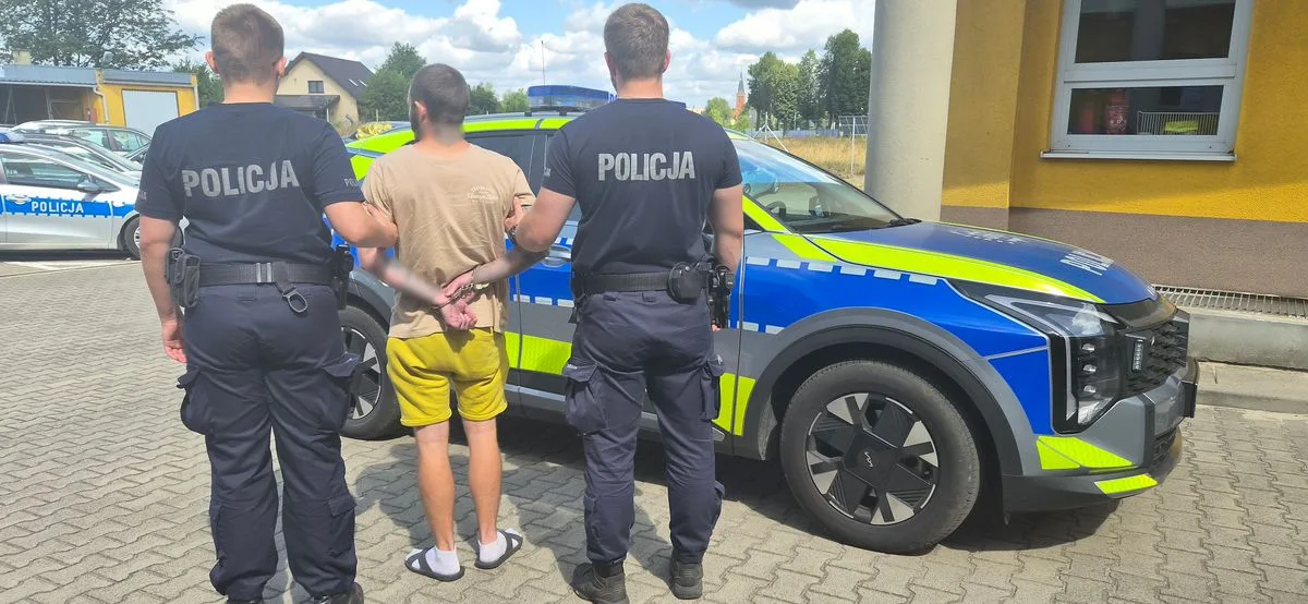 У Польщі 29-річного громадянина України можуть видворити з країни за серію правопорушень
