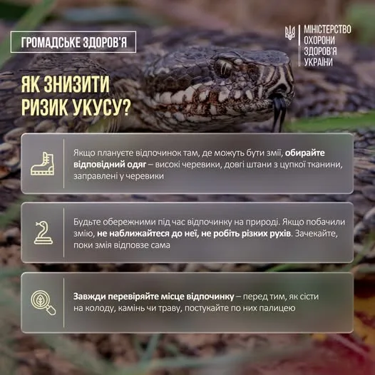 В Україні з березня до серпня зареєстровано 30 звернень через укуси змій