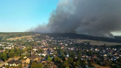 У Німеччині повністю евакуювали село через лісову пожежу