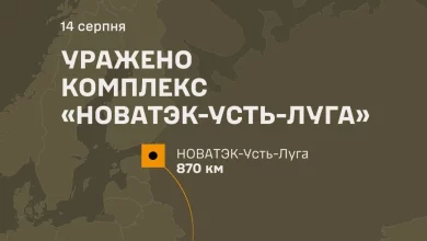 Сили оборони України вразили комплекс «НОВАТЭК-Усть-Луга» в Ленінградській області РФ