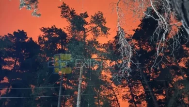 ЗСУ вразили російський аеродром «Саваслейка» з літаками МіГ-31К
