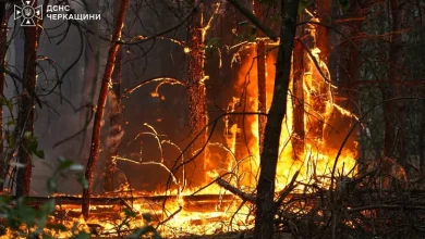 На Черкащині локалізували масштабну лісову пожежу площею 100 гектарів