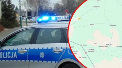 У Великопольщі затримали 38-річного українця після смертельного наїзду на жінку та втечі з місця ДТП