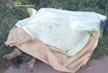 На Миколаївщині удар російського БпЛА забрав життя чотирьох людей, серед них троє дітей