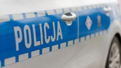 У Польщі українець підозрюється у смертельному наїзді на 74‑річну жінку та спробі знищити докази