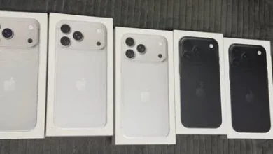 У пункті пропуску «Шегині» виявили незадекларовані iPhone на сотні тисяч гривень