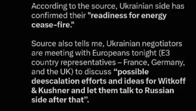 Журналістка Newsmax: Зеленський знову обговорив із Трампом використання Starlink для ударів по РФ