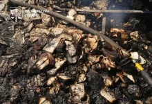Справу щодо ракетного удару по друкарні «Фактор-Друк» у Харкові передано до суду