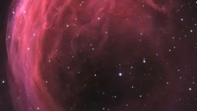 NASA показало зображення туманності «Креветка», зняте аматорським телескопом