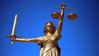 У Вроцлаві засудили групу жінок за незаконну легалізацію перебування іноземців