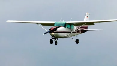 Угорщина підняла винищувачі через угон літака Cessna, що летів у бік АЕС