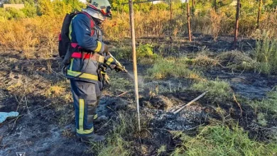 На Харківщині жінка загинула під час випалювання сухої трави