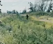 Полонені росіяни 25 кілометрів евакуйовували пораненого бійця «ТриДе»