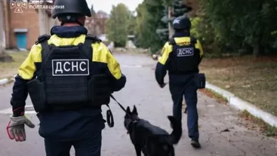 На Полтавщині кінологи ДСНС обстежили місце удару російського БпЛА