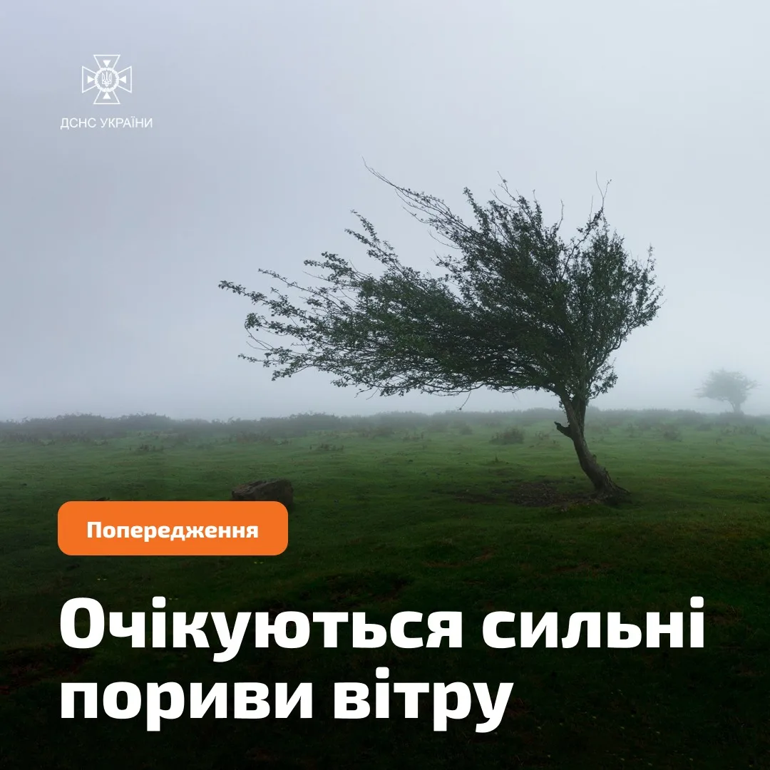 6 вересня в Україні очікується посилення вітру до 20 м/с