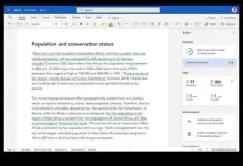 Microsoft Word припиняє роботу функції перевірки на плагіат