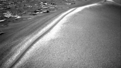 Марсохід Curiosity провів 5000 днів на Марсі та досліджує дюну «Chocolatal»