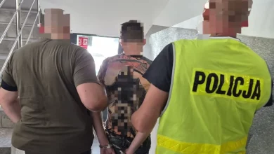 У Польщі 32-річному громадянину України загрожує видворення за порушення правил дорожнього руху