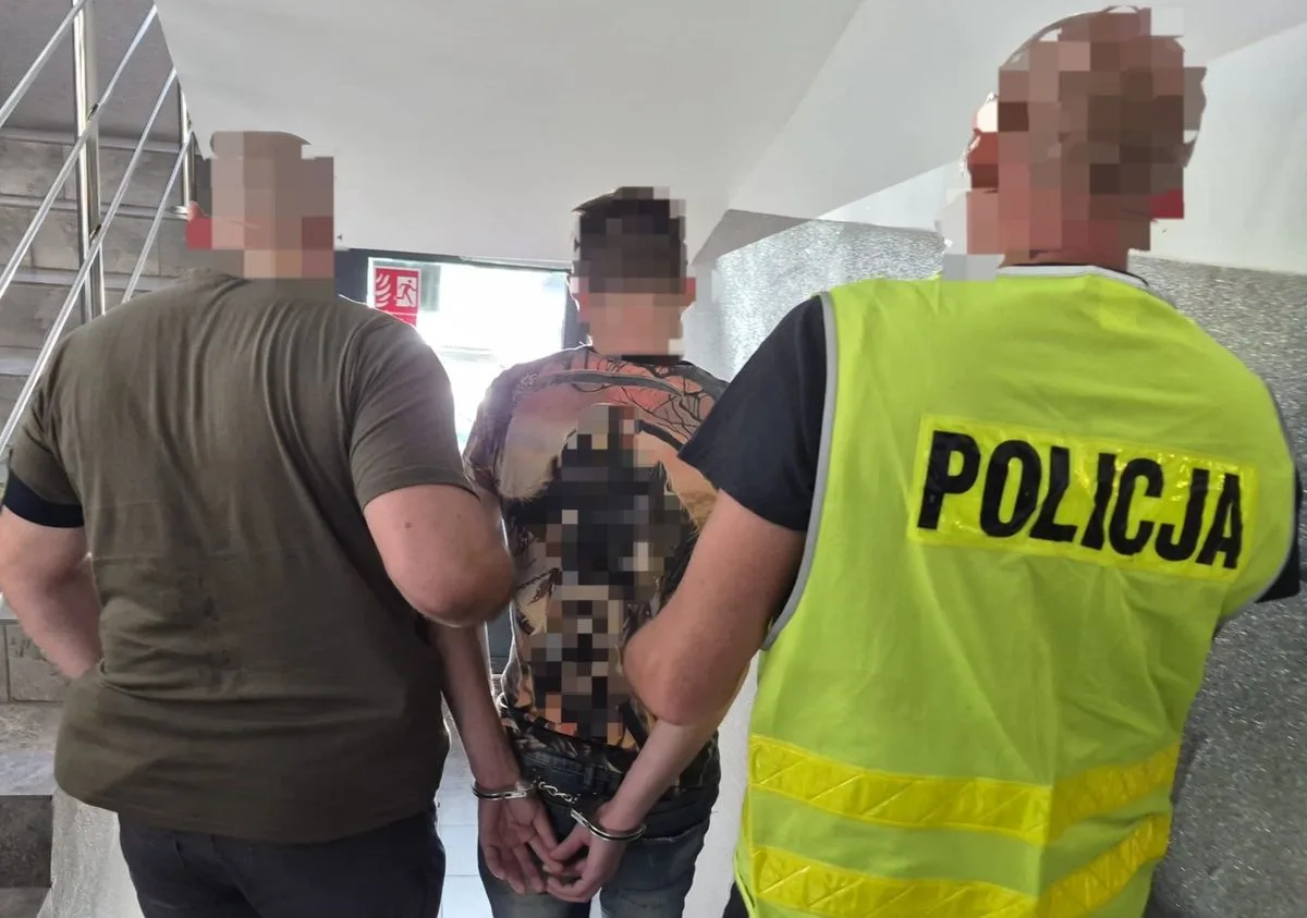 У Польщі 32-річному громадянину України загрожує видворення за порушення правил дорожнього руху