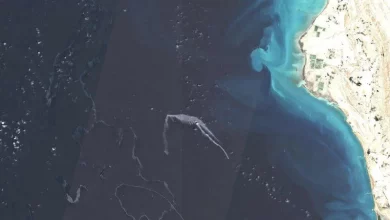 Після удару США в Перській затоці утворилася велика нафтова пляма