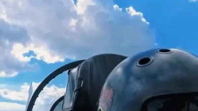 Українська авіація знищила дві гаубиці Д-30 на Донецькому напрямку