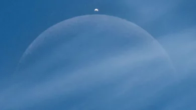 NASA показало рідкісне покриття Венери Місяцем, зняте над Францією