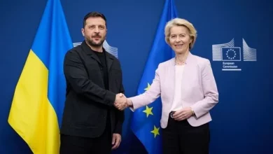 Україна та ЄС розроблятимуть спільну систему ППО на основі проєкту «Фрея»