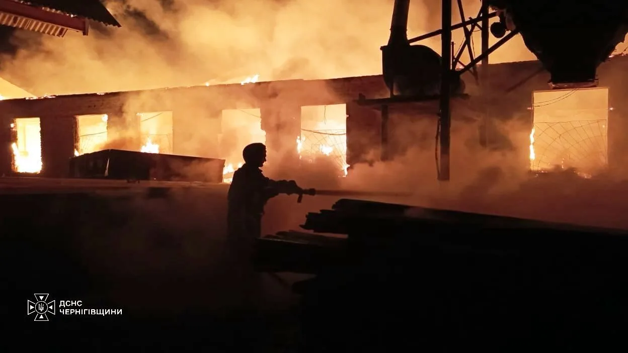 Нічна атака БпЛА на Чернігівщині спричинила пожежі у двох населених пунктах