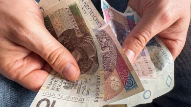 Коли громадяни України можуть отримати пенсію з ZUS у Польщі