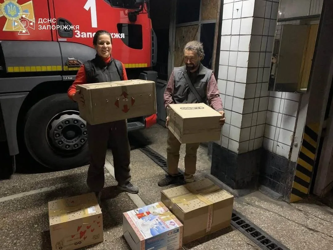 У Запоріжжі рятувальники вилучили 250 кажанів із балкона багатоповерхівки